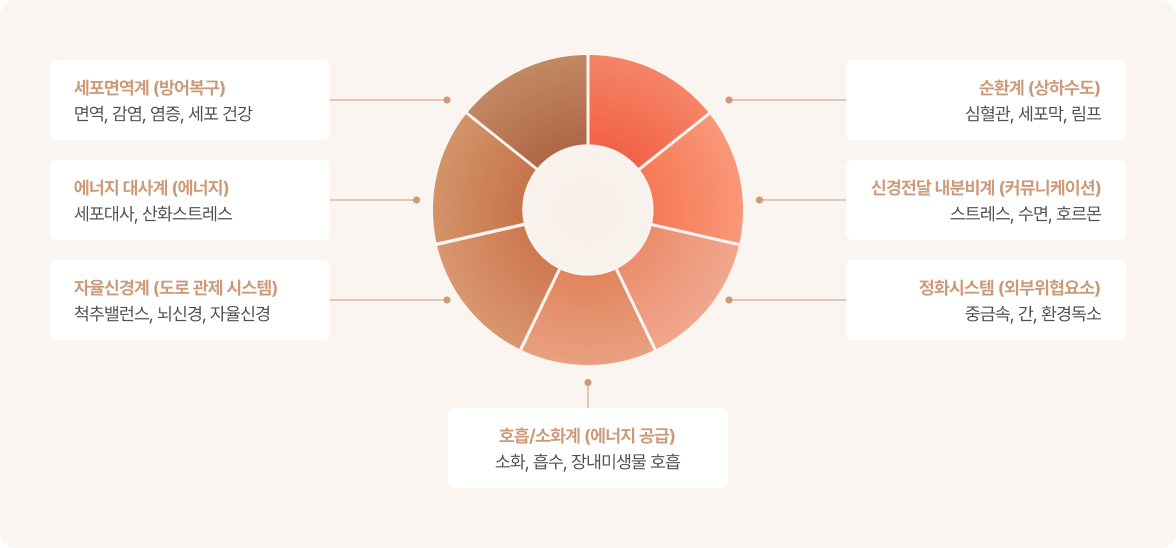 기능의학 검사
